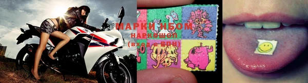 гашик Абаза