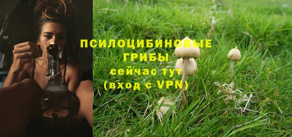 гашик Абаза