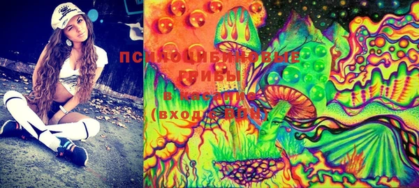 PSILOCYBIN Абинск