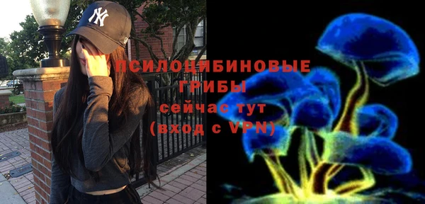 бошки Новокубанск