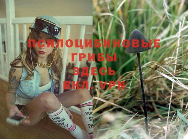 гидра Новодвинск