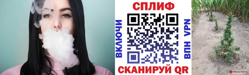 Бошки Шишки семена  Бавлы 
